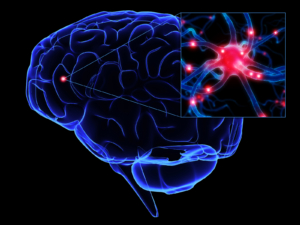Brain PBM