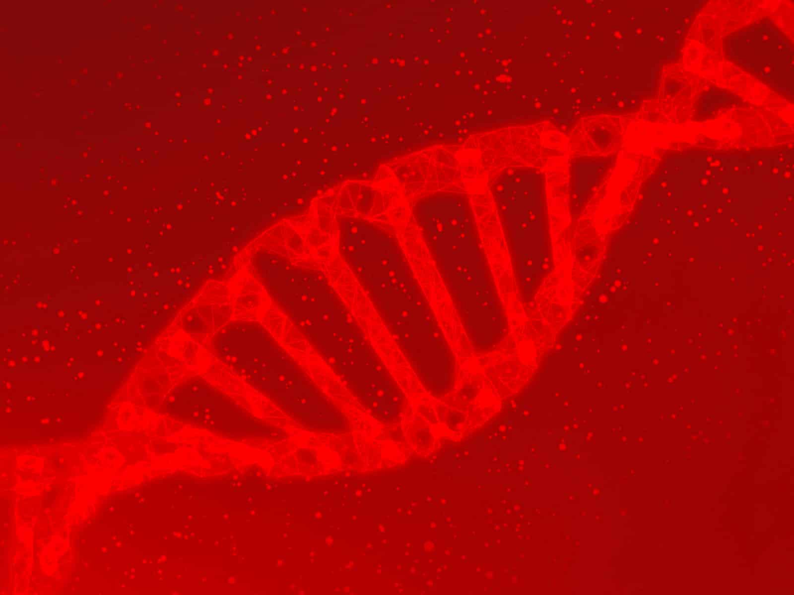 PBM Cell DNA expression